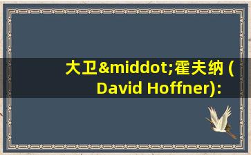 大卫·霍夫纳 (David Hoffner): 乐观的前景